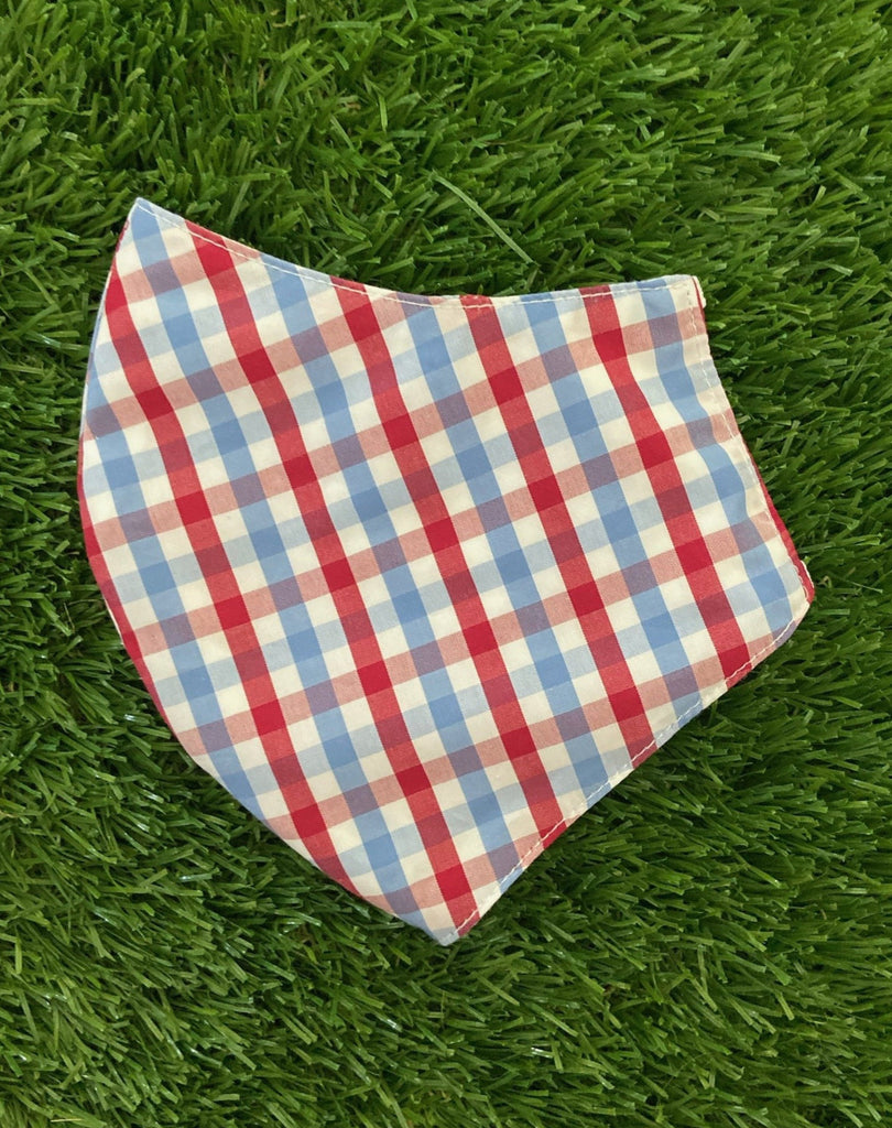 Red and blue gingham mask